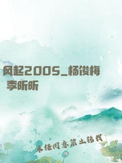 风起2005